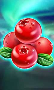 Winterberries